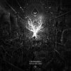 HypoGeo - PlyoMatik