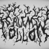 Cover Salem - Hollow Salem - Hollow