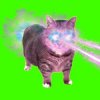 Cover XertXetin - OIIA OIIA COSMIC CAT (Slowed) XertXetin - OIIA OIIA COSMIC CAT (Slowed)