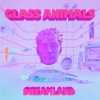 Cover Glass Animals - Heat Waves Glass Animals - Heat Waves