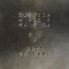 Cover Swedish House Mafia - Wait So Long Swedish House Mafia - Wait So Long