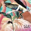 SZA - Castles