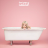 Cover Poppy - Money Poppy - Money