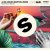 Cover Alok, Bruno Martini, Zeeba - Never Let Me Go