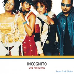 Cover Incognito - Byrd Plays