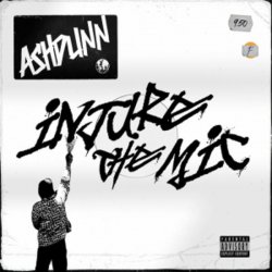 Cover Ashdunn - Injure The Mic
