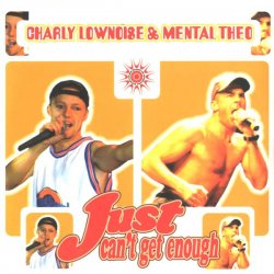 Cover Charly Lownoise & Mental Theo - Intro