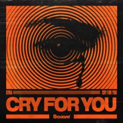 Cover Ilyaa - Cry for You
