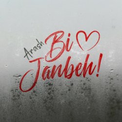 Cover Arash - Bi Janbeh