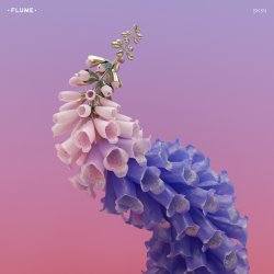 Cover Flume - Skin LP Preview