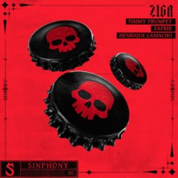 Cover Timmy Trumpet & Zafrir & Henrique Camacho - Ziga