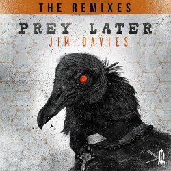 Cover Jim Davies - Prey Later (Dex Remix)