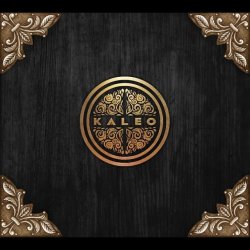 Cover Kaleo - Rock 'n' Roller