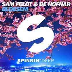Cover Sam Feldt & De Hofnar - Bloesem