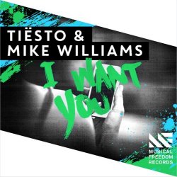Cover Tiesto & Mike Williams - I Want You