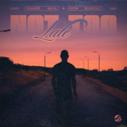 Cover Edward Maya & Adem Bogoceli - Not Too Late