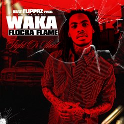 Cover Waka Flocka Flame - Introduction Fight