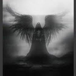 Cover skyfall beats - mystica