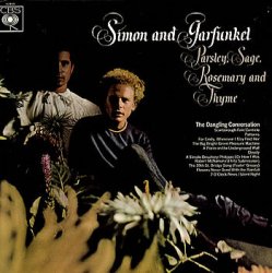 Cover Simon and Garfunkel's - Canticle