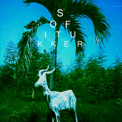 Cover Sofi Tukker - Drinkee (Mahmut Orhan Remix)