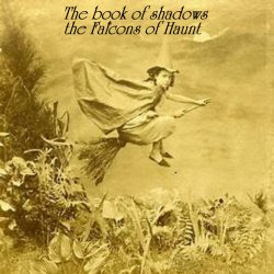 Cover The Falcons of Haunt - The Book of Shadows (Phase 4)