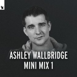 Cover Ashley Wallbridge - Mumbai Traffic (Armin van Buuren's Edit)
