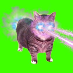 Cover XertXetin - OIIA OIIA COSMIC CAT (Slowed)