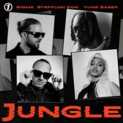 Cover Sigma & Stefflon Don & Yung Saber - Jungle