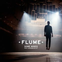 Cover Flume - Some Minds (Feat. Andrew Wyatt)