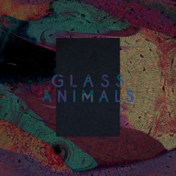 Cover Glass Animals - Black Mambo