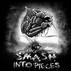 Cover Smash Into Pieces - Rockstar