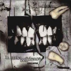 Cover In Strict Confidence - Burning Angel (Remix)