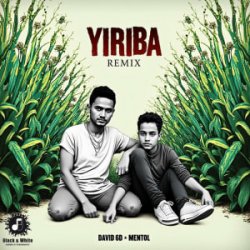 Cover David 6D & Mentol - Yiriba (Remix)