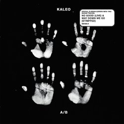 Cover Kaleo - No Good
