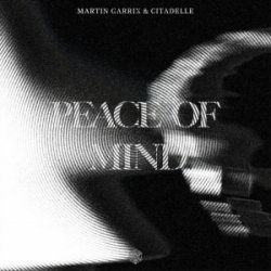 Cover Martin Garrix & Citadelle - Peace Of Mind