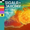 Cover Sigala & Jaxomy - Riptide (feat. Ilan Kidron) Sigala & Jaxomy - Riptide (feat. Ilan Kidron)