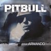 Cover Pitbull feat. Papayo - Armando Pitbull feat. Papayo - Armando