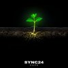 Cover SYNC24 - The Frog and the Bubble SYNC24 - The Frog and the Bubble