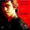 Владимир Высоцкий - Братские могилы