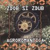 Cover Zdob și Zdub - Doina haiducului Zdob și Zdub - Doina haiducului