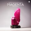 Cover Giuseppe Ottaviani & Ferry Corsten - Magenta (Fisherman Remix) Giuseppe Ottaviani & Ferry Corsten - Magenta (Fisherman Remix)