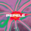 Cover AFRONOM & Lucas Estrada & Idd Aziz - Pepele AFRONOM & Lucas Estrada & Idd Aziz - Pepele