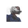 Cover niteboi - U. niteboi - U.