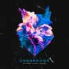 Cover Evaride & Sam Tinnesz - Underdogs Evaride & Sam Tinnesz - Underdogs