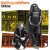 Cover Shapeshifters - Chime