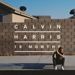 Cover Calvin Harris & Example - We'll Be Coming Back (Dj Dark & Huge Carter Remix)