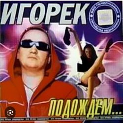 Cover Игорек - Подождем