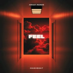 Cover MASHB3AT - Feel
