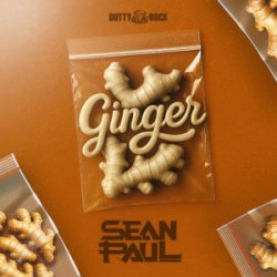 Cover Sean Paul - Ginger