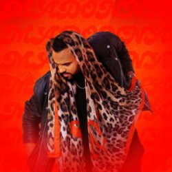 Cover Mohombi - Mamadona